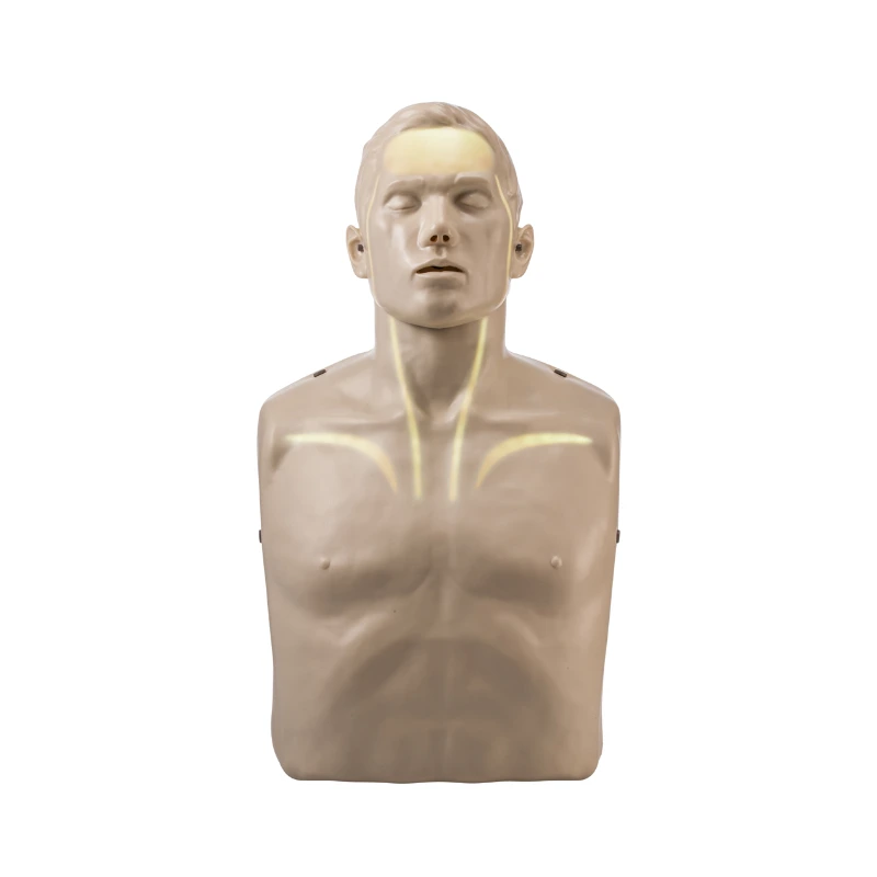 BRAYDEN 心肺復甦術訓練模擬人(發光安妮)